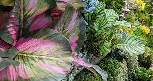 Wholesale silk flowers for all of your faux floral design needs. Realistic Silk Flowers And Plants Los Angeles Aldik Home