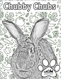 Print and fill out the volunteer application. Coloring Sheets Featuring Adoptable Pets Heritage Humane