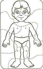 Pin De Iva Krajcova En Zima Rompecabezas Del Cuerpo Humano Cuerpo Humano Para Ninos El Cuerpo Humano Infantil
