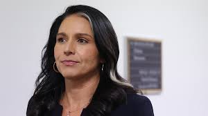 DNI Tulsi Gabbard fires NIC heads to combat intel politicization