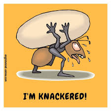 English Idioms I M Knackered Learn English Vocabulary With Visual Cards Free Download English Idioms English Lessons Online English Lessons