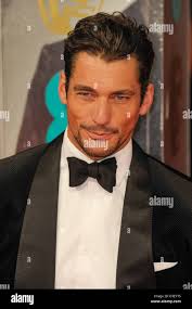 Gandy hi-res stock photography and images