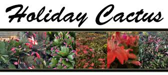The global community for designers and creative professionals. Holiday Cactus Green Thumb Nursery