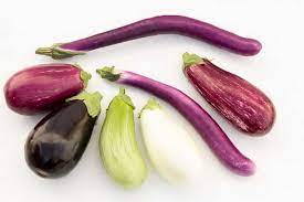 Different types of aubergine on display at the railway market in mandalay. 12 Different Types Of Eggplant Home Stratosphere