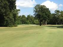 Image result for what golf course was tin cup filmed
