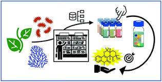 Plant cell and tissue culture for the production of food ingredients, 1999. Innovative Omics Based Approaches For Prioritisation And Targeted Isolation Of Natural Products New Strategies For Drug Discovery Natural Product Reports Rsc Publishing