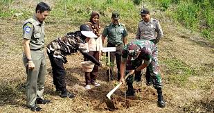  tasik semula jadi spt tasik chini & tasik bera di pahang. Jaga Ekosistem Kodim 0612 Tasik Tanam 1 000 Pohon Cakrawalamedia Co Id