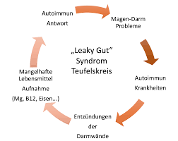 Wie Ein Leaky Gut Dich Deine Erfolge Kosten Kann Bernd Stosslein Personal Training