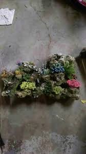 Select from distinct aquarium coral ornament at alibaba.com to enhance the aesthetic appearance of your interior decor. Find More Top Fin Stone Coral Bubbler Aquarium Ornament For Sale At Up To 90 Off