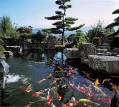 40 Gambar Kolam Ikan Minimalis Kolam Ikan Koi Kolam Ikan Hias Dan Taman Kolam Ikan Desainrumahnya Com Di 2020 Kolam Ikan Kolam Taman Air