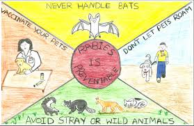 Letter size poster (8.5 x 11). Rabies Awareness Prevention Poster Contest Winners