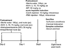 Image result for Neoboutonia melleri