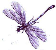 Pink Dragonfly Clipart Google Search Dragonfly Drawing Dragonfly Art Purple Tattoos