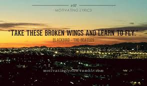 Black Beatles In The City Lyrics Https Encrypted Tbn0 Gstatic Com Images Q Tbn 3aand9gctdbuq8sd9zs21nch S2bn4my13 Zkdsmh9tq Usqp Cau