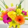 Valid and verified beneva flowers deal, updated today: Best 30 Gift Shops In Sarasota Fl With Reviews Yp Com