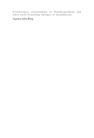 Image result for Pseudocalyx saccatus