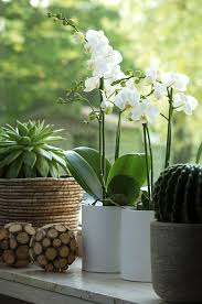 Il a exercé une (bas) vengeance. Epingle Sur Gadget