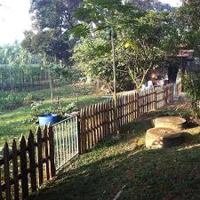 Macedonian malagasy malay malayalam maltese maori marathi mongolian myanmar (burmese) nepali norwegian odia pashto persian polish portuguese punjabi if you want to know how to say thanks in malay, you will find the translation here. Organic Farm Located Amongst Malay Villages Malaysia