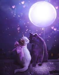 2019 5d Diy Diamond Painting Cats Under The Moon Vm7502 Cat Art Cute Animals Cute Animal Drawings