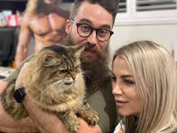 Recognize cat by coloring