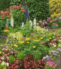 Butterflies and flowers in the garden on the morning. Being Planted Knack Notions Butterfly Garden Design Butterfly Garden Flower Garden