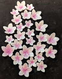 24 Large Plumeria Frangipani Any Color Gum Paste Fondant Etsy Edible Flowers Edible Flowers Cake Petal Dust