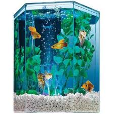 Tetra Hexagon Aquarium Kit With Led Bubbler 1 Gallon Walmart Com Aquarium Kit Betta Fish Tank Aquarium