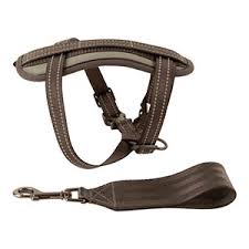 Driving with an unrestrained dog is actually illegal in the whole of the uk. Pets At Home In Car Safety Dog Harness Pets At Home