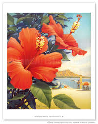 Image result for Hibiscus kirkii