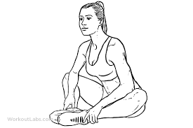 Butterfly Stretch Exercise Guide Workoutlabs Butterfly Stretch Workout Guide Hip Flexibility