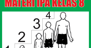 Untuk mengeluarkan zat sisa, tubuh manusia dilengk. Materi Ipa Kelas 8 Semester 1 2 Lengkap