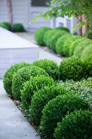 To Check Out More Images From Mpf Garden Company Check Out Our Website Www Mpfgardencompan Front Yard Garden Design French Country Garden Boxwood Landscaping