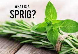 The leaf and its oil are used to make medicine. What Is A Sprig Sprig Definitions Of Herbs Kitchensanity
