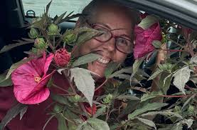 Just ventured outside to see this newly opened hellebore refuelling this  lovely lady. Is she an Early?