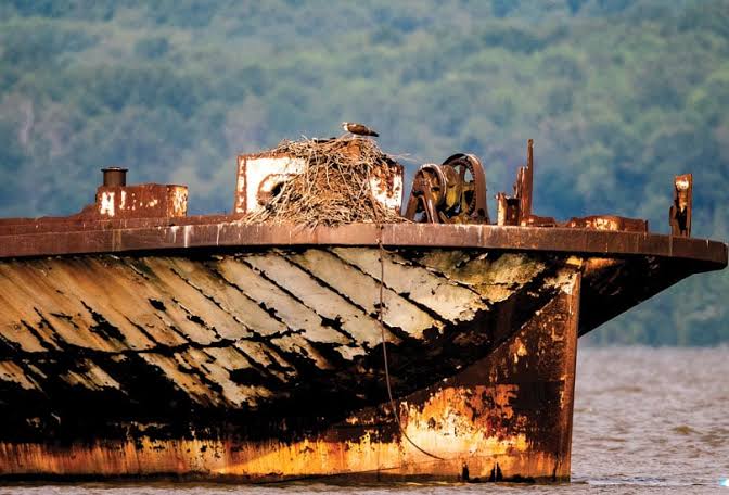Explore the Mallows Bay Ghost Fleet, a Ship Graveyard