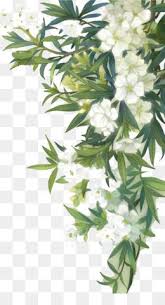 Familiar Wild Flowers Watercolour Flowers White Blooming Flowers And Green Leaves Free Watercolor Flowers Flower Png Images Floral Watercolor