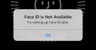 How to utilize face id better . Face Id Not Working Iphone Ios 14 13 6 1 Here Is The Real Fix