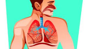 Penyakit yang berkaitan dengan hati biasanya hepatitis dan penyakit kuning. Apa Penyebab Terjadinya Aspergillosis