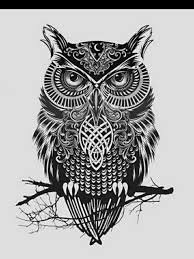 Perfeito Owl Art Print Owl Art Owl