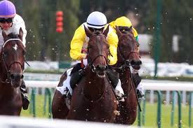 Résultat quinté du 20 avril 2017 : Pmu Pronostics Resultats Hippiques Des Quinte Pmu Betclic Et Zeturf Par Les Journalistes Canalturf