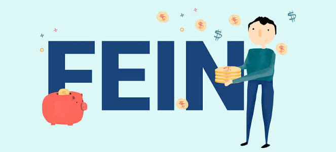 feine meaning