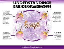 understanding the hair growth cycle longing 4 length