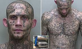 We did not find results for: Man With Full Face And Body Tattoos Is Arrested For Allegedly Sexually Battering Woman Daily Mail Online