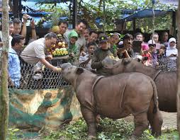 Wisata Di banten Dan Taman Nasional Ujung Kulon