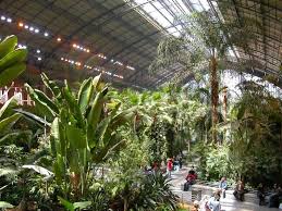Places Of Interest Madrid S Atocha Railway Station Is Also Indoor Botanical Garden Alternative Botanical Gardens Madrid Tropical Garden