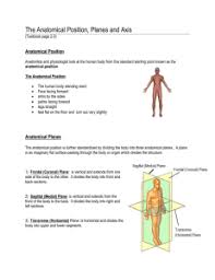 Anatomy Quiz