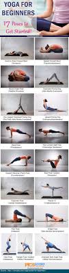 Importance Of Yoga In Our Life In Marathi Easy Yoga Workouts Basic Yoga Poses How To Start Yoga