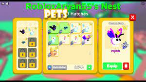 Boss eggs can only be obtained by beating bosses but they only have a 1/10k chance of appearing. Queen Bee Stats Pet Swarm Simulator Roblox Youtube