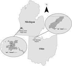We did not find results for: Microclimate And Biotic Interactions Affect Karner Blue Butterfly Occupancy And Persistence In Managed Oak Savanna Habitats Springerlink