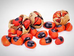 African Mafura Butter Moringayoung Canker Sore Scalp Conditions Cold Sore